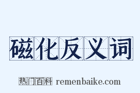 磁化反义词是什么意思的图片